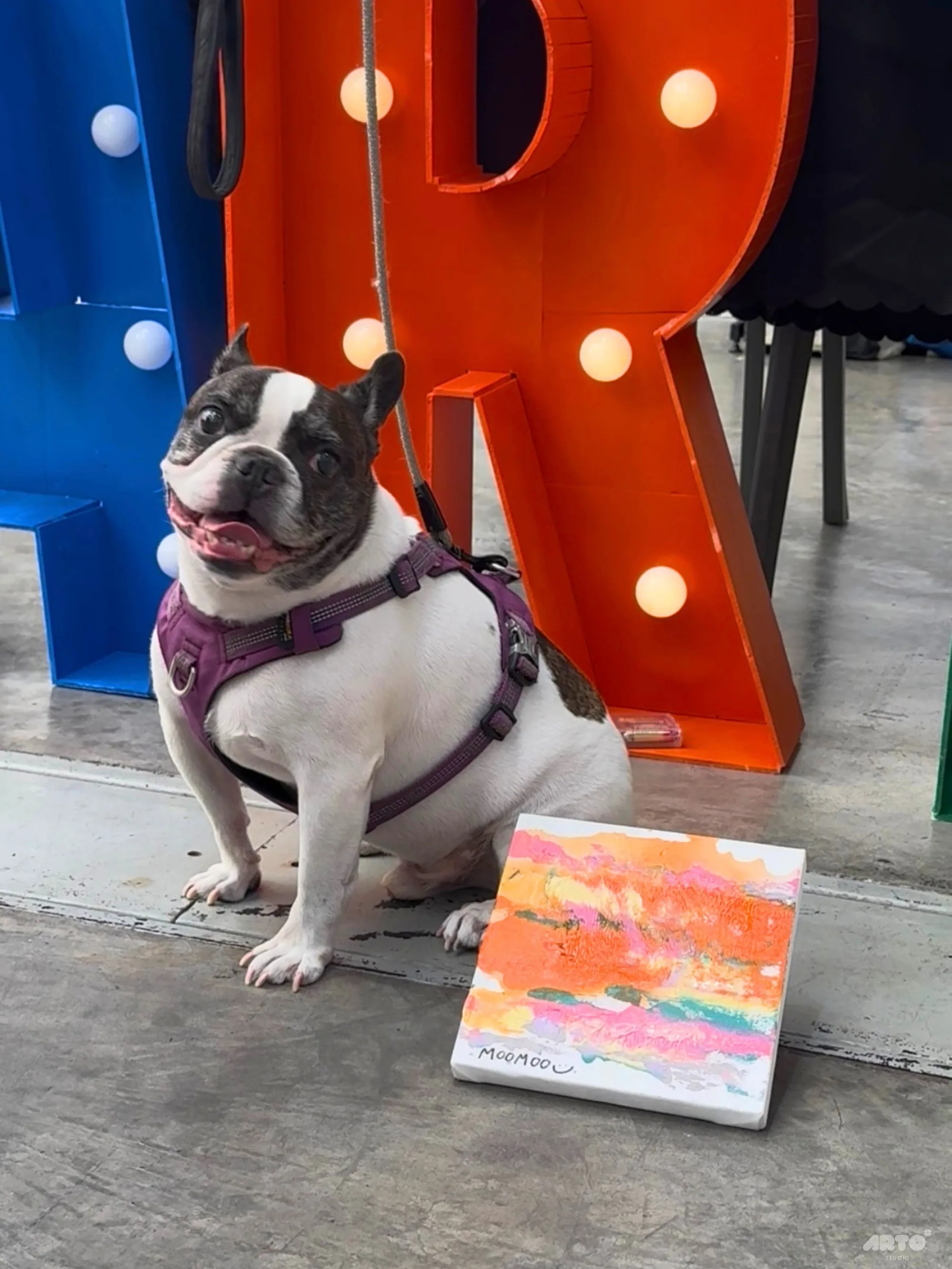 กิจกรรมสำหรับงาน Pet Friendly